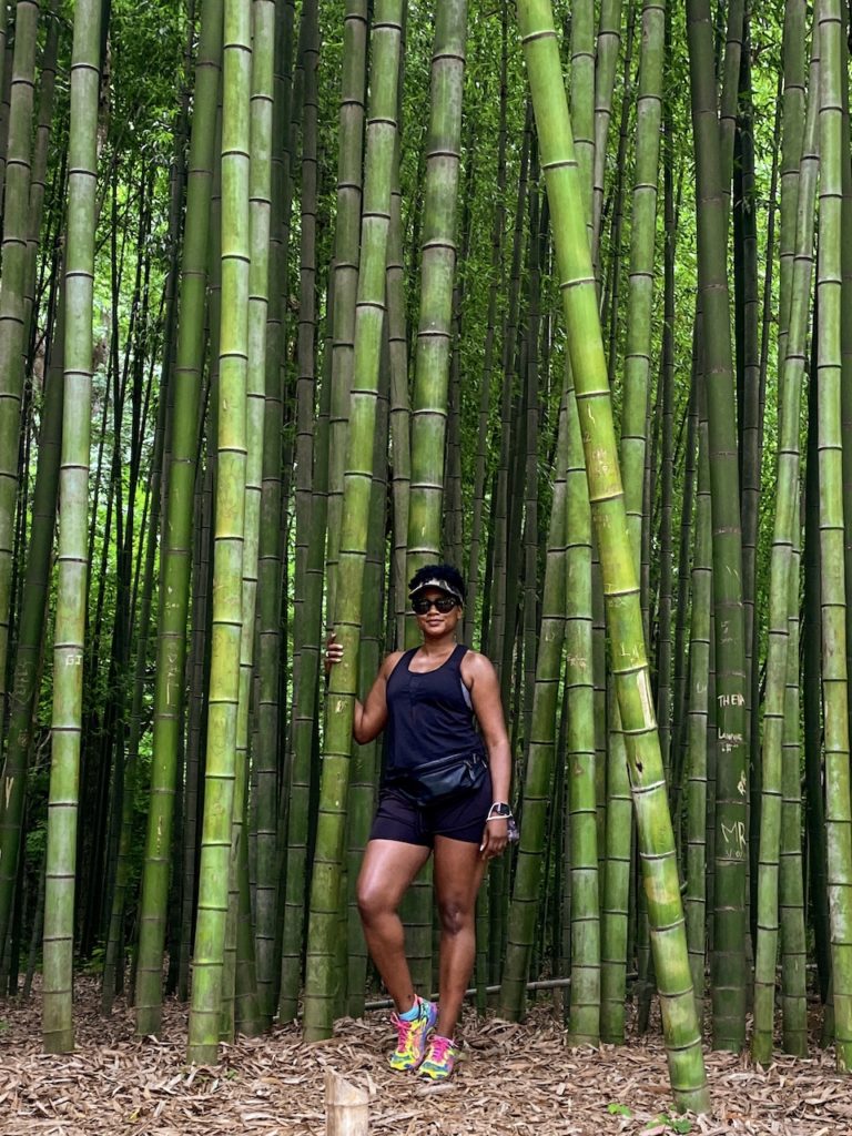 Bamboo Forest at East Palisades Trail